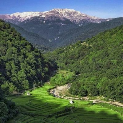 Nazgol