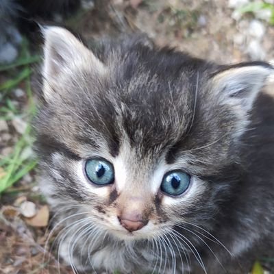 BulentI78122's profile picture. 