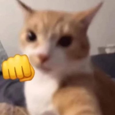 MauricioPe20's profile picture. 