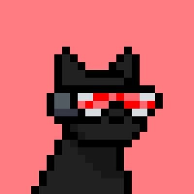Web Profile