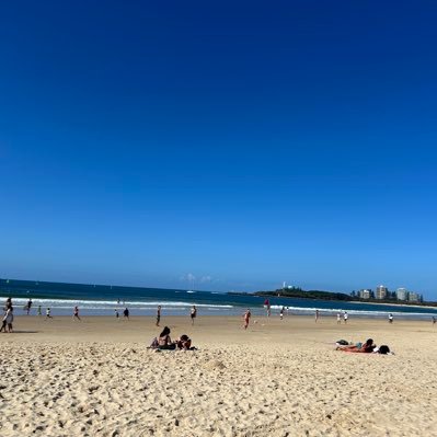 shuntaro9563's profile picture. 