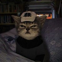Whuatson (@whuatson744) 's Twitter Profile Photo Whuatson (@whuatson744) 's Twitter Profile Photo