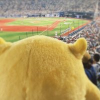 さけるピース (@skchee_yp) 's Twitter Profile