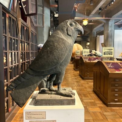 GnbdBv's profile picture. 