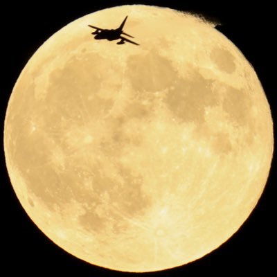 Cygnus201101's profile picture.