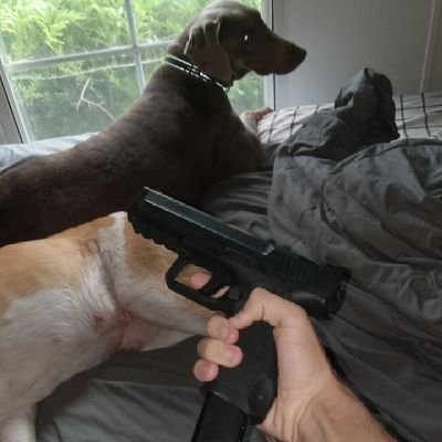 got0motion's profile picture. 19