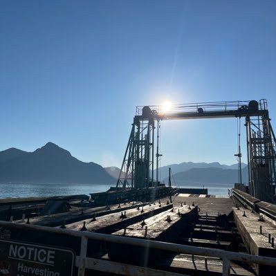 yin525468's profile picture. 