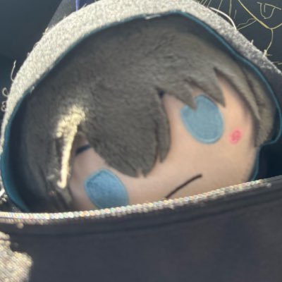 Paper_Kokoro's profile picture. ネタバレOK/地雷無し/超雑多/最近はFGOに熱中。