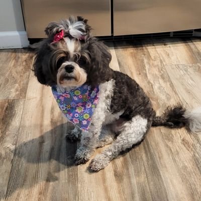 AnnieLover64's profile picture. 