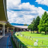 田舎で貸別荘、都会で民泊経営中！ (@gnvsjl30bo642) Twitter profile photo