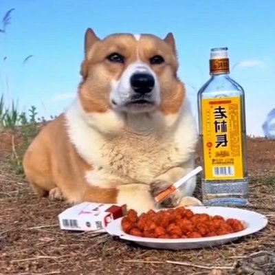 abaurycy's profile picture. 18+