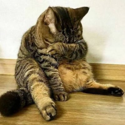 one_p_bin's profile picture. 