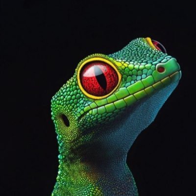 DieLurchin2's profile picture. weiblich,Heimat verbunden, 🇩🇪💙