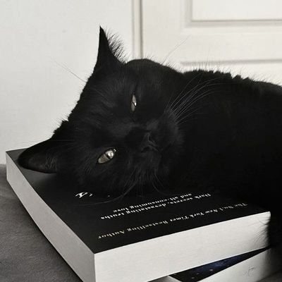 jh_zakirah's profile picture. ≽^•⩊•^≼
All I need is money ✨ꔛ and cats 😽 ᵐᵉᵒʷˎˊ˗ 🫶🏻꒰𝚌𝚞𝚝𝚒𝚎꒱ ✿•°♡ ✦ꔛ🫧