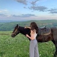 Dwuieexirq (@dwuieexirq1212) 's Twitter Profile