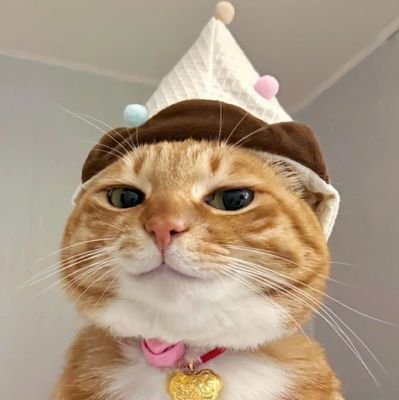 LinL884136's profile picture. 