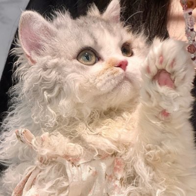 finefinelee666's profile picture. When the whole class is laughing & you`re just sitting there like, "What`s so funny?!"