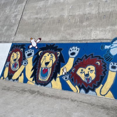 mimoza369's profile picture. 