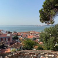 Noise vs Signal (@noisevssig) 's Twitter Profile