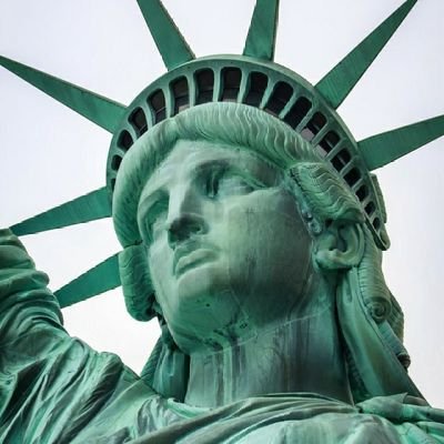 trump_dona78911's profile picture. 