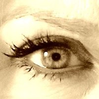 WokeIsFascism (@kittymarks18) 's Twitter Profile