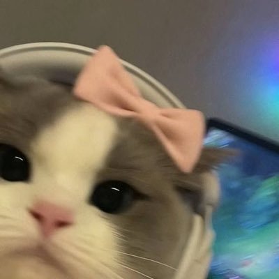🫥