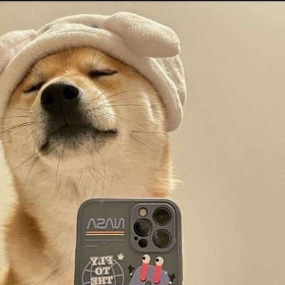 Dexwall0's profile picture. Fx,deriv & crypto news
Deals on buying & selling of Altcoins 
 All gift cards redeemtion available, Rate always affordable