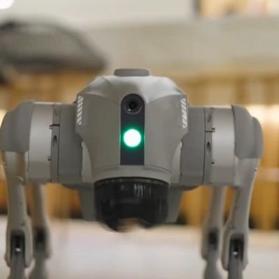 theblrbuzz's profile picture. Robot Dog and Humanoid Robots for sale and hire.