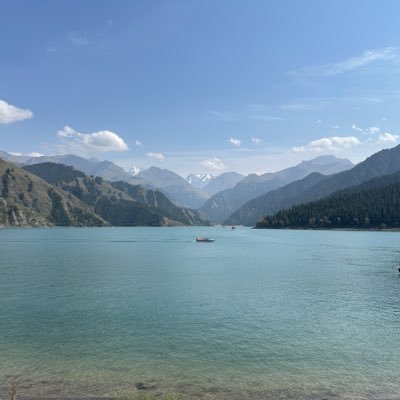 Lucylu617's profile picture. Good good study, day day up!