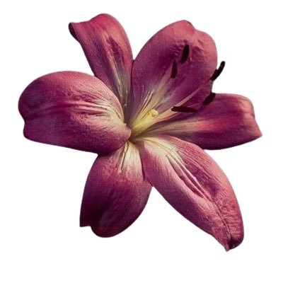 ethe11realchic's profile picture. jangan php😔❗️