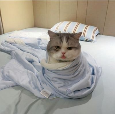 💫さんのプロフィール画像