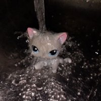 pigeon (@xpigeonitex) 's Twitter Profile