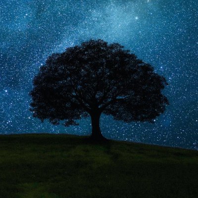 arionfella's profile picture. 