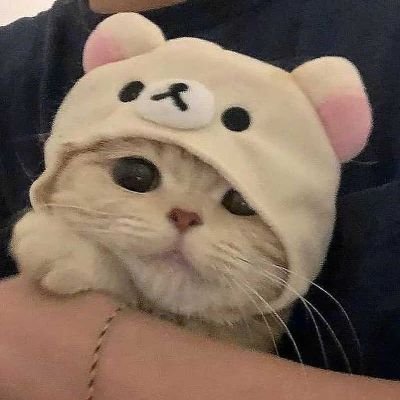 sofkaa_22's profile picture. 