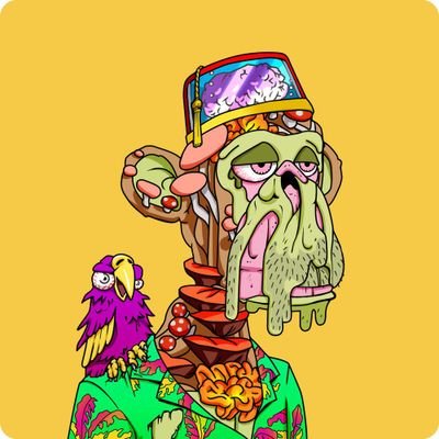 CryptoRoarx's profile picture. CT