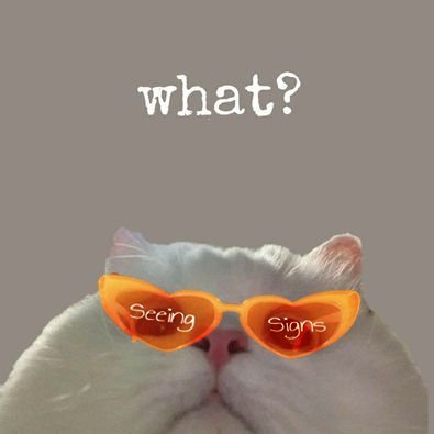 astrafields's profile picture. 🔸seeing signs