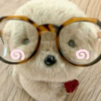 m🅰️dzz💬²⁷ (@vnrougez) 's Twitter Profile