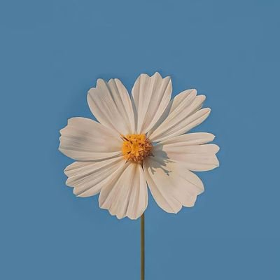 Dem_Republique's profile picture. Politique - Jeunes Horizons avec Édouard Philippe.☀️🇷🇪🇲🇫🇪🇺