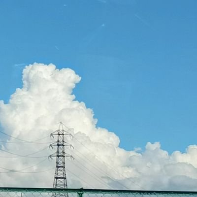 aoi__azarashi's profile picture. 