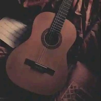 HauserCello115's profile picture. 