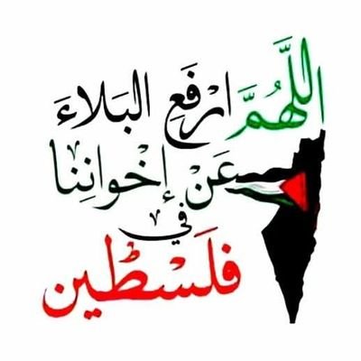 KCr713370352's profile picture. 