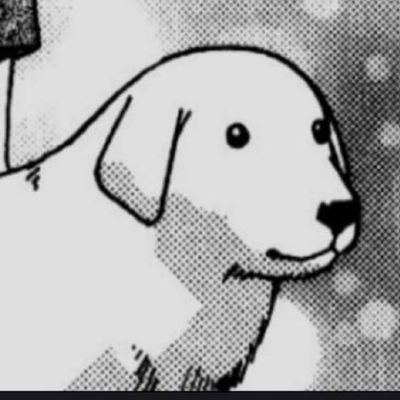 reiqon's profile picture. 