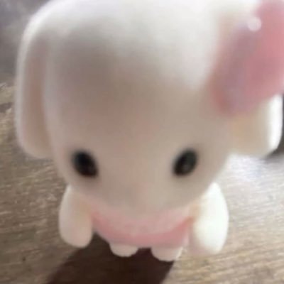 qluxa_'s profile picture. 長風呂短気ですٍٛ . ̫ . ٛ ٍ ♩