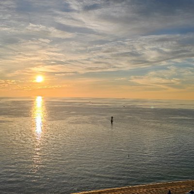 kpopiu7's profile picture. TSLA+LMND+ETH Long-term investor