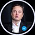 Muskelonkreevel (@muskelonkr56453) Twitter profile photo Muskelonkreevel (@muskelonkr56453) Twitter profile photo
