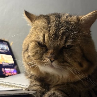 meanpaeramean's profile picture. Meen🥰|199X😊|🔞| เเอ็คนี้ไว้เล่นเเก้เหงา ไม่รับงาน คุยไม่เก่ง DM เฉพาะคนซัพพอร์ต😆