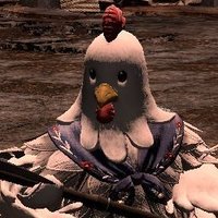 파키케투스 (@paki_ffxiv) 's Twitter Profile