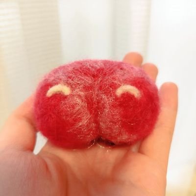 HAMUchannoTSUYU's profile picture. オｯトㇼ💋ふゎふゎ❣️犬ｯｺﾛ人生🐶💞✨