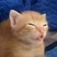 Ale (@alxwuuw) 's Twitter Profile