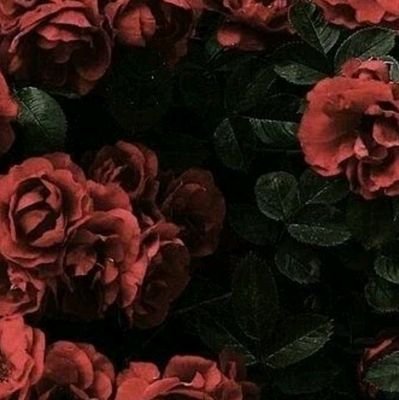 headnthestarzzz's profile picture. BIO LOADING....